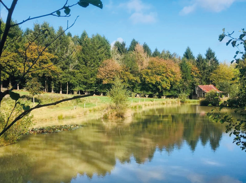 Brailsham Lake View